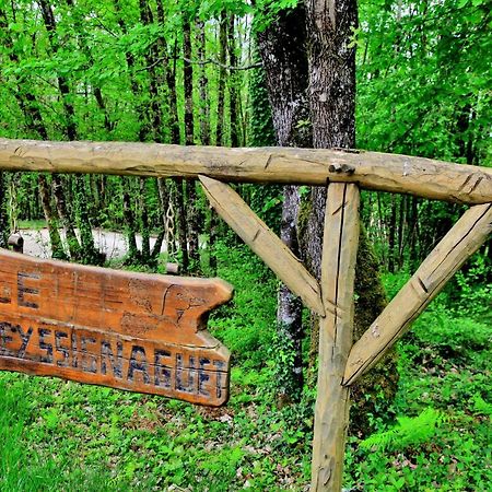 Les Deux Moiselles - Le Cheyssignaguet Bed & Breakfast La Chapelle-Aubareil Ngoại thất bức ảnh